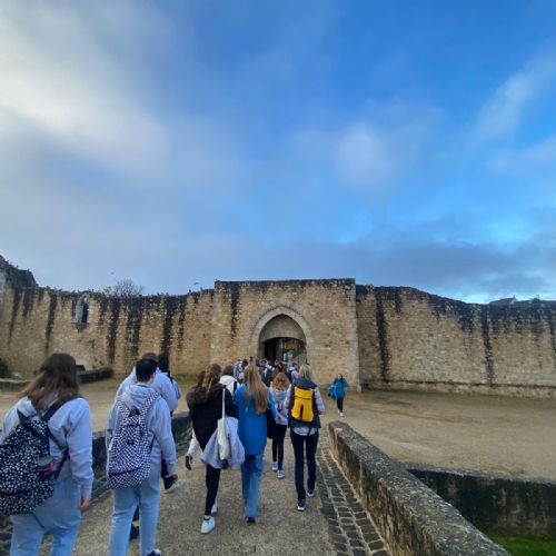 783aa43f-eb7a-4074-8f1b-2865dece18d43)