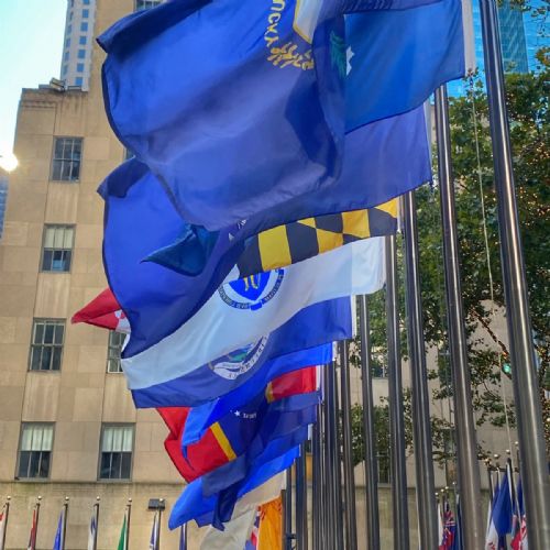 0FCDB3B2-52B8-4A74-BF6A-D004DD21DEF4