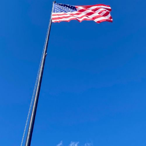 C8DD0E52-CA3C-4B84-95D7-1B5F90F63A68