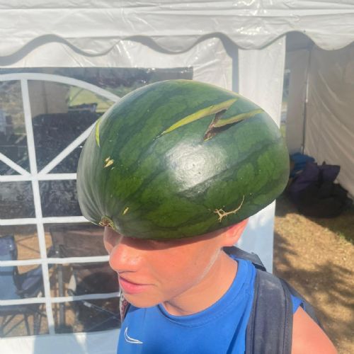 18469ea5-2f88-4a9d-8c1c-6051ae07dd542)