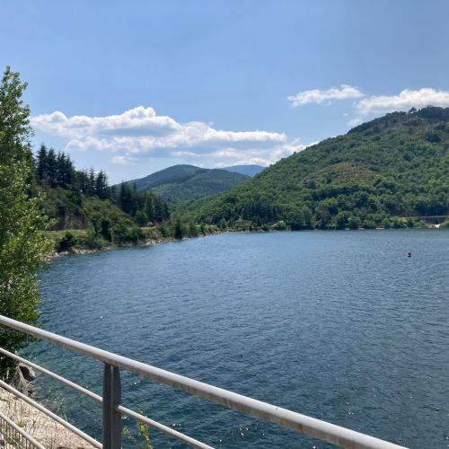 1f1320eb-7db0-44c9-a781-ce7f609679212)