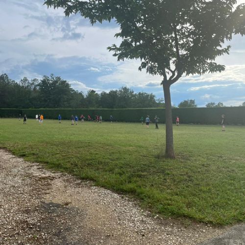 46a472cb-a4b3-4667-a9c6-3944d0881a2d2)