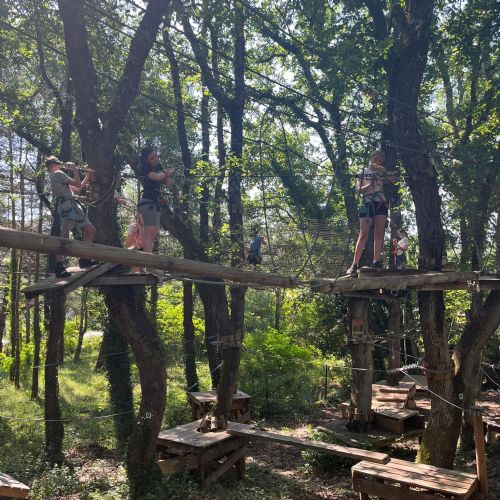 586df33e-21e8-42d2-ba3b-98133d71e46a2)