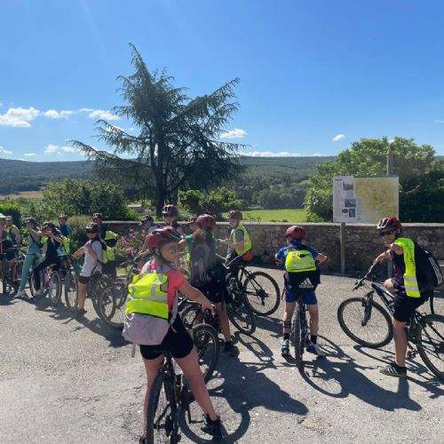 5e6313a3-a8c0-463d-abb7-b1d35aa6b1bb2)