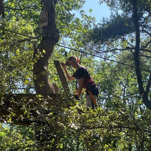 660a5374-af4f-4943-bcd8-5e3d489c95652)