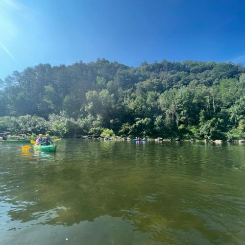 776dc72f-d9f1-46cc-b455-c825c59ae6732)