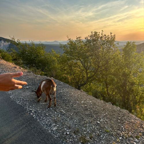 8ca6a4e9-7362-430d-864c-01345f3108e62)