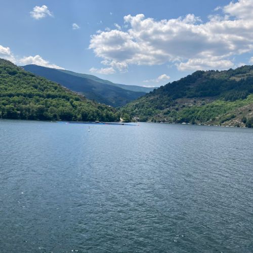 9900f0c7-da51-48fc-bfb1-16569379b5622)