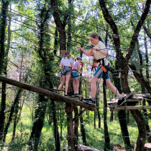 9a1aa29c-a438-4e65-9214-d63de2d613d72)