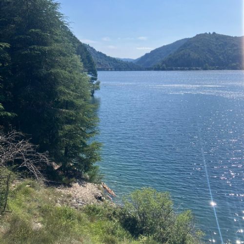 a9973dfd-f5b9-435d-a368-53b634bccbd32)