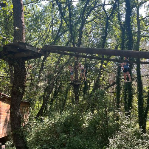 ad053d66-57b9-4490-beb2-ee14a70807092)