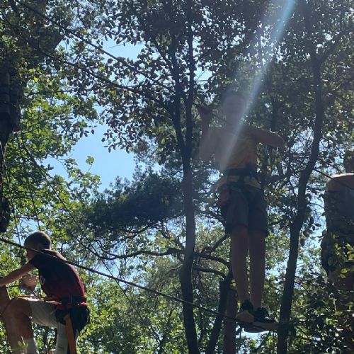 b5461f66-cfa8-4b34-ac67-f17809b70d772)