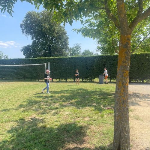 c6ec4366-d2c8-43ae-b86c-3d03b8adc7be2)