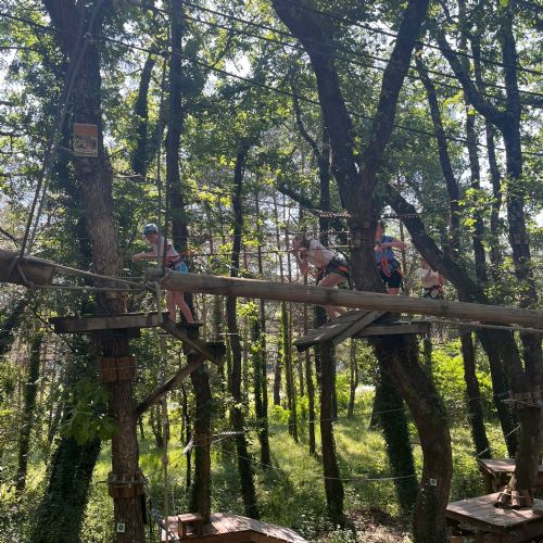 cb78e0d1-9362-4454-a873-faa56687c29c2)