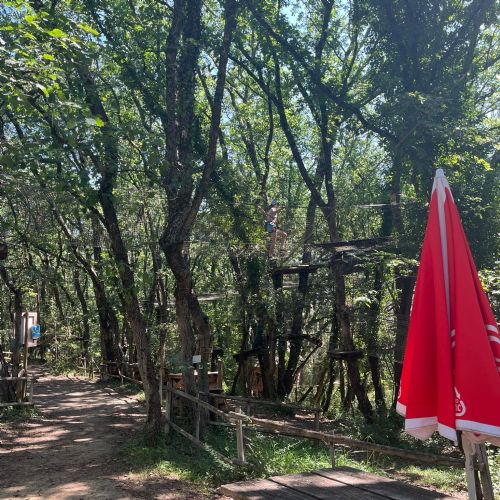 d4e39a98-4c31-420f-8d0e-387581f7051f2)