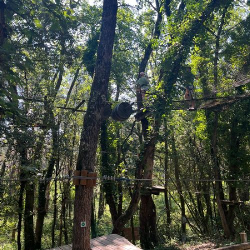 e7ce9fa8-ef9e-47cc-918b-ad61be342d882)