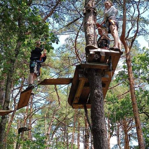 f029c1be-321f-4d81-ab04-d45f51a63f852)