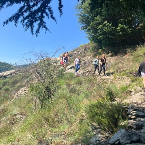 fcd140c9-a347-4df0-a964-da1cd4fe84a92)