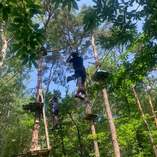 fcd628da-6a9a-4be2-80b9-9d3a2da3ebfe2)