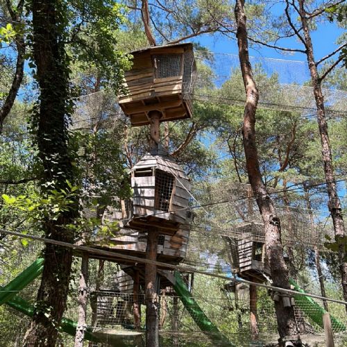 PHOTO-2023-07-02-11-56-43