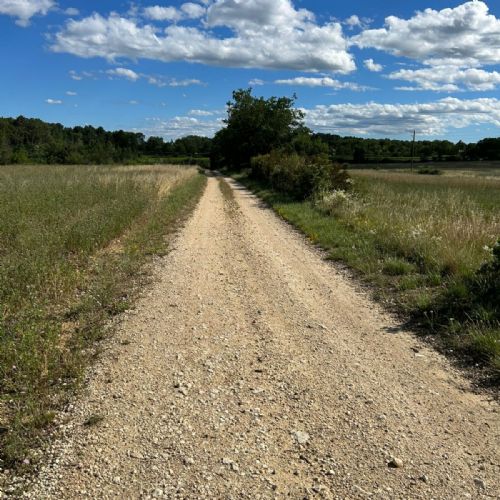 PHOTO-2023-07-02-17-38-19