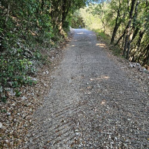 PHOTO-2023-07-03-18-23-36