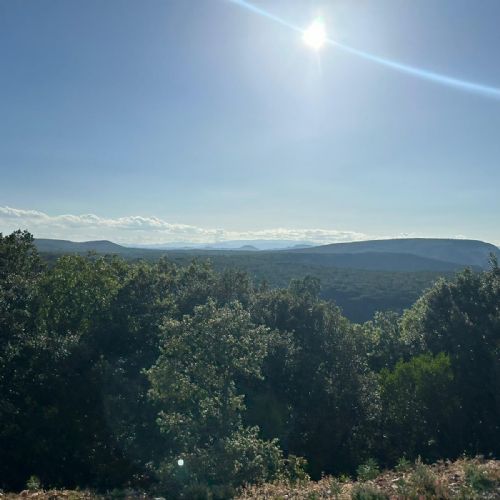 PHOTO-2023-07-04-07-11-21