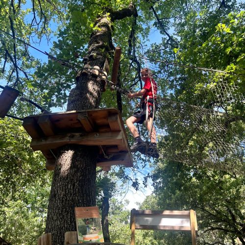 PHOTO-2023-07-05-09-48-112