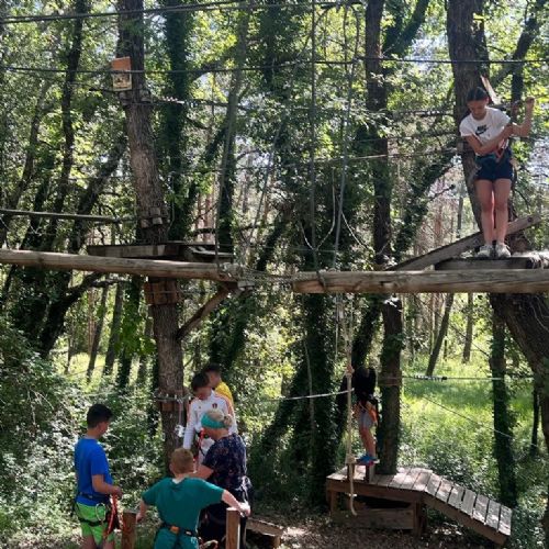 PHOTO-2023-07-05-09-49-02