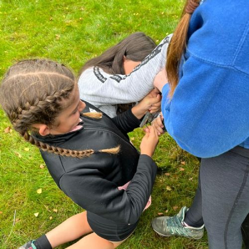 VWZW0071, GXBX0876, VCSE5125, F292086D-C392-453F-AAAF-94D069C4A856